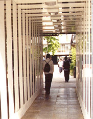 South Camden, Quad Project